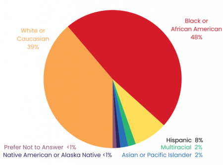 Pie Chart: Apprentices' Race