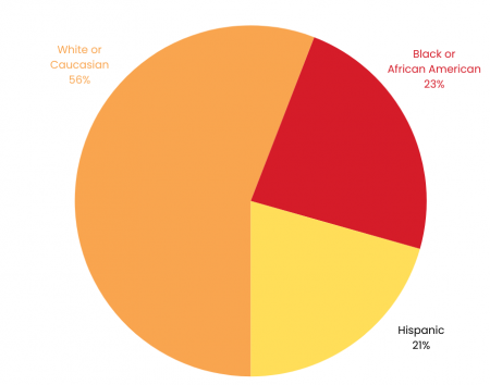 Pie Chart: Pre-Apprentices' Race